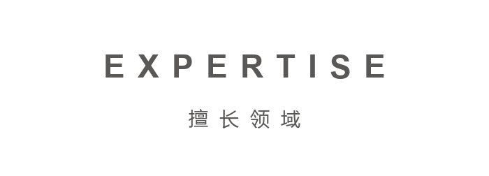 擅长领域